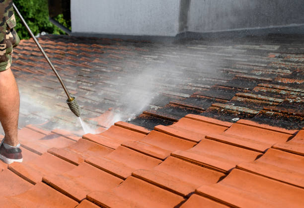 Best Roof Power Washing Services  in Irvington, KY